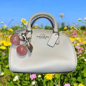 Coach Sydney Satchel Crossbody Lt. Sage Green Silver Logo Bag w/ pink cherry NWT